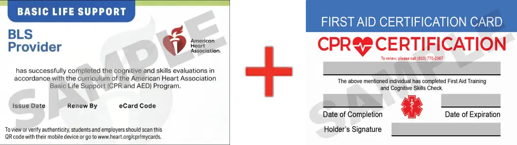 Sample American Heart Association AHA BLS CPR Card Certification and First Aid Certification Card from CPR Certification San Jose
