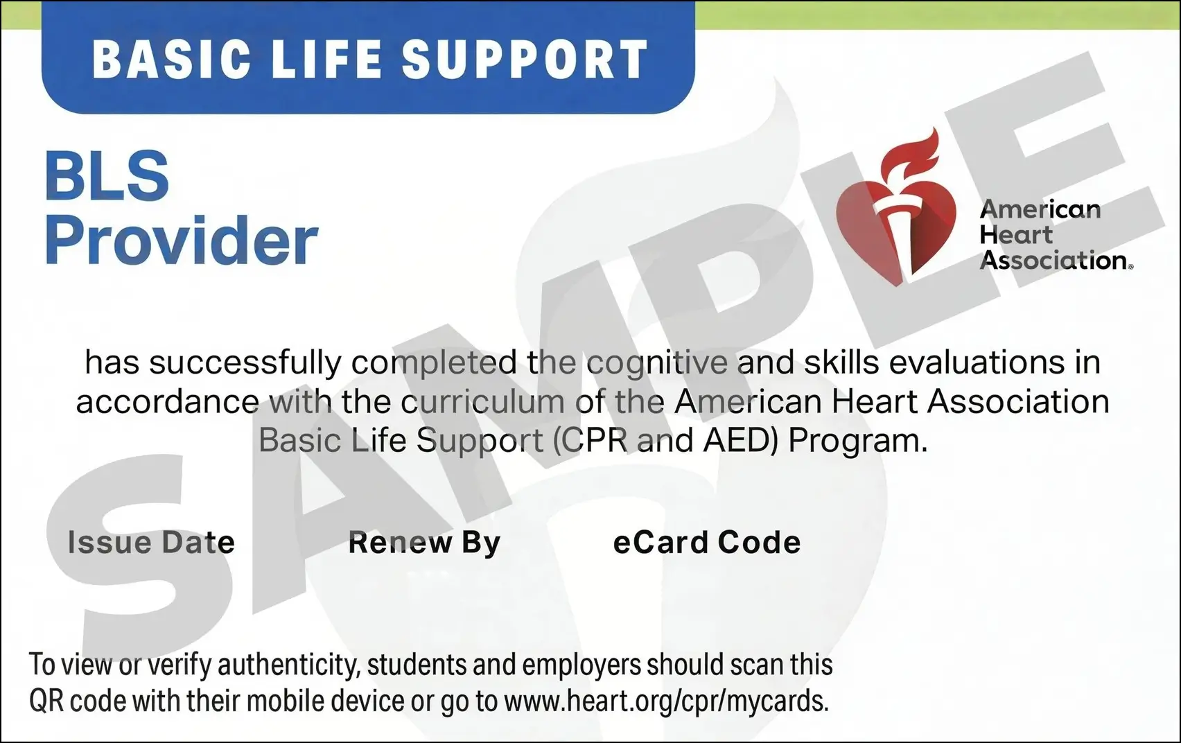 Sample American Heart Association AHA BLS CPR Card Certification from CPR Certification San Jose